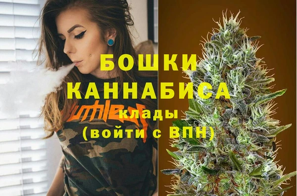прущие крисы Вяземский