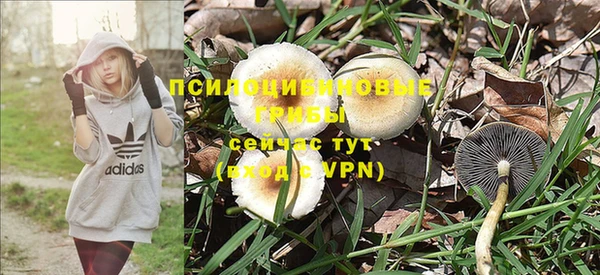 круглые Вязьма