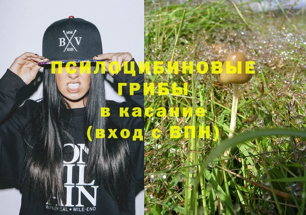 прущие крисы Вяземский