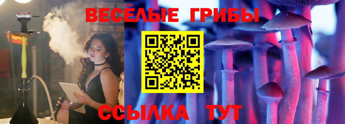 Бутират Гай