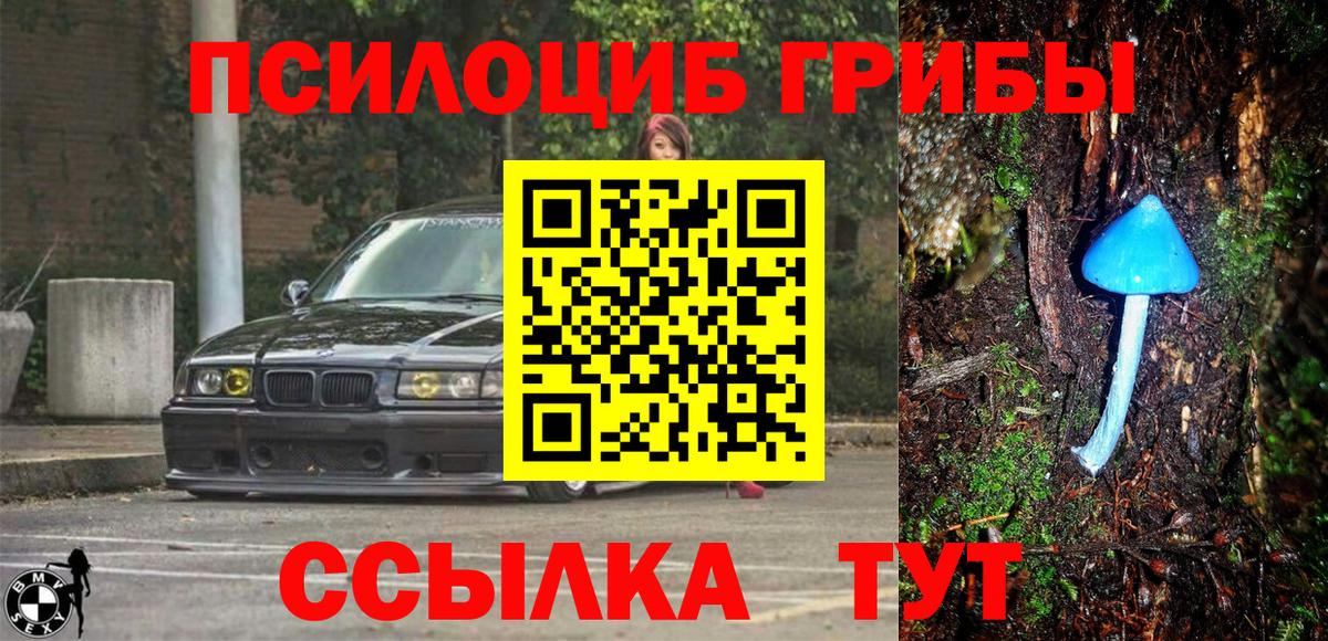 Гай  Галлюциногенные грибы MAGIC MUSHROOMS  Псилоцибиновые грибы Magic Shrooms  Вход с VPN 