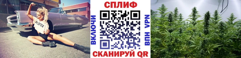 закладка  Гай  Бошки марихуана конопля 
